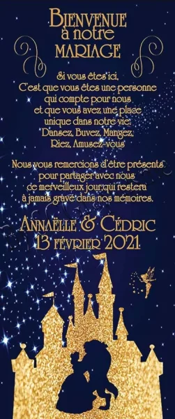 Roll Up de bienvenue modèle Paula