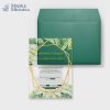 faire-part mariage plexi transparent palmier vert et or doré